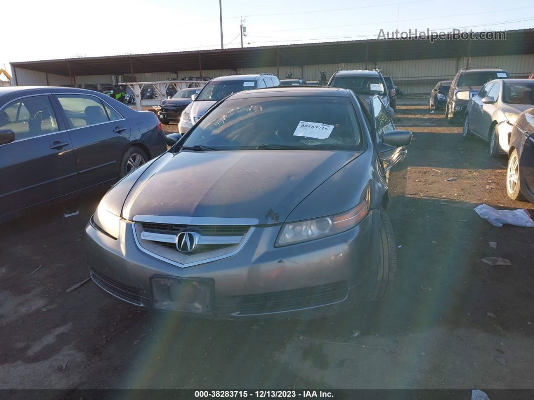 2005 Acura Tl   Gray vin: 19UUA66295A050540