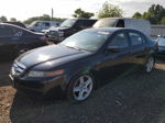 2005 Acura Tl  Black vin: 19UUA66295A054975