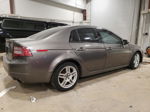 2008 Acura Tl  Серый vin: 19UUA66298A004386