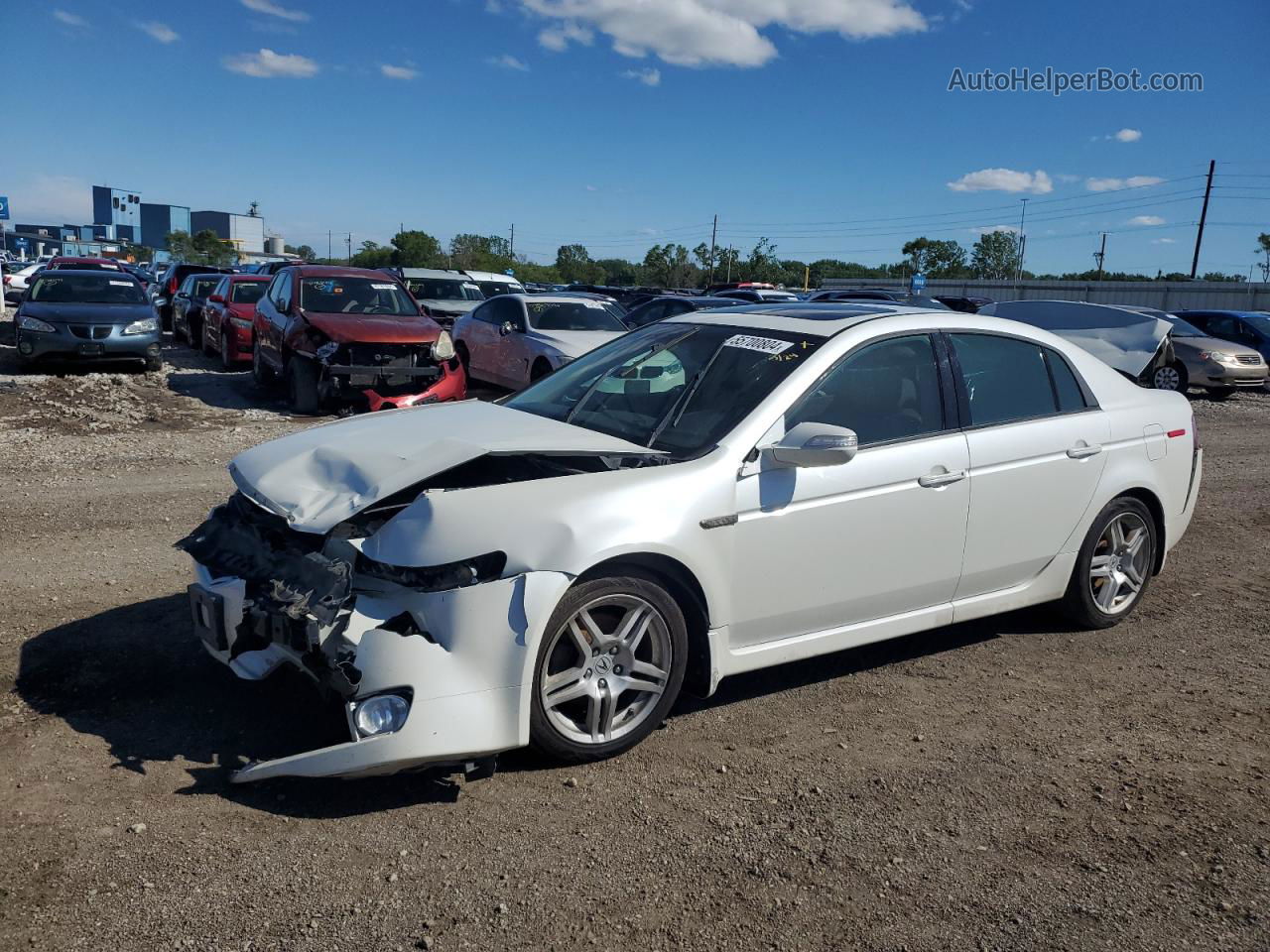 2008 Acura Tl  White vin: 19UUA66298A024668