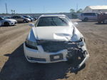 2008 Acura Tl  White vin: 19UUA66298A024668