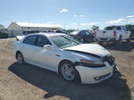 2008 Acura Tl  White vin: 19UUA66298A024668