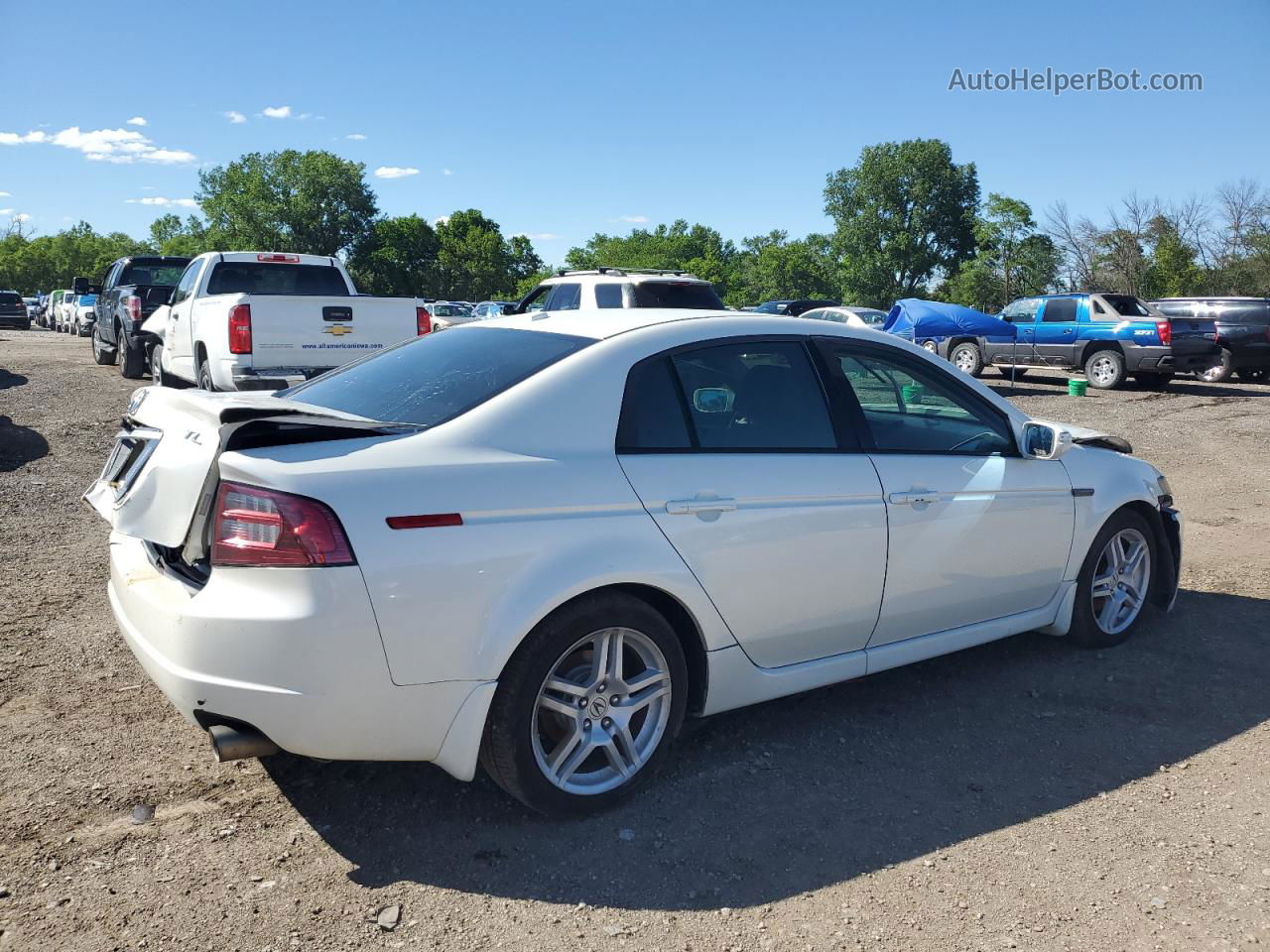 2008 Acura Tl  White vin: 19UUA66298A024668