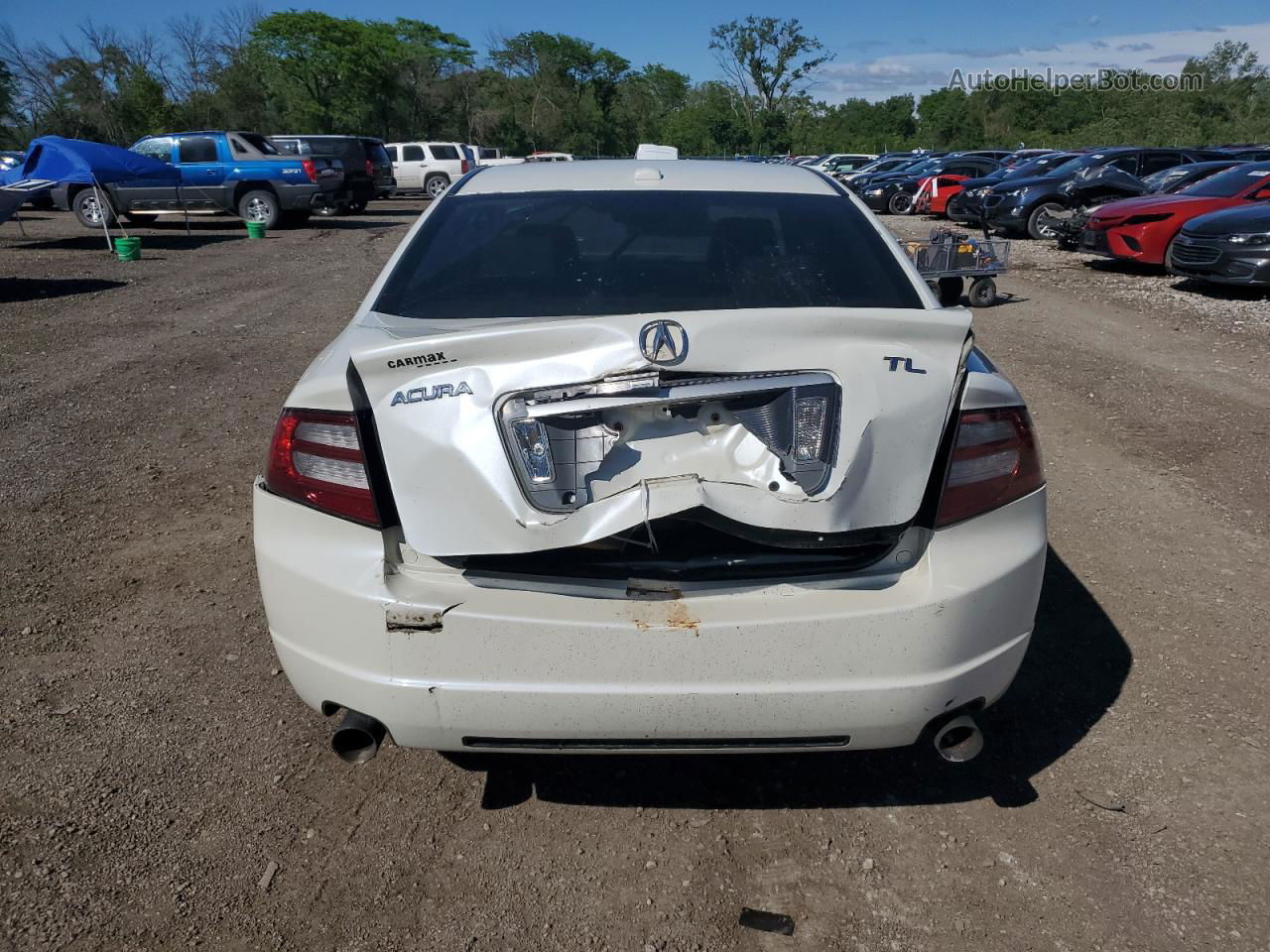 2008 Acura Tl  White vin: 19UUA66298A024668