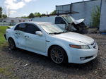 2008 Acura Tl  White vin: 19UUA66298A055211