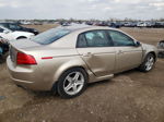 2005 Acura Tl  Бежевый vin: 19UUA662X5A007888