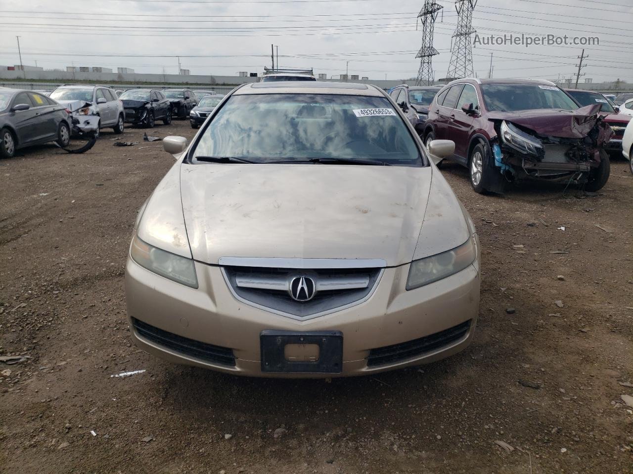 2005 Acura Tl  Beige vin: 19UUA662X5A007888