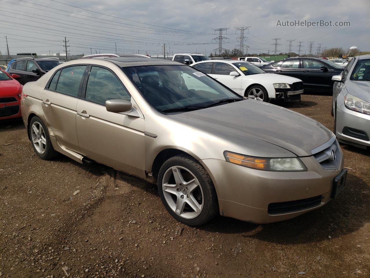 2005 Acura Tl  Beige vin: 19UUA662X5A007888