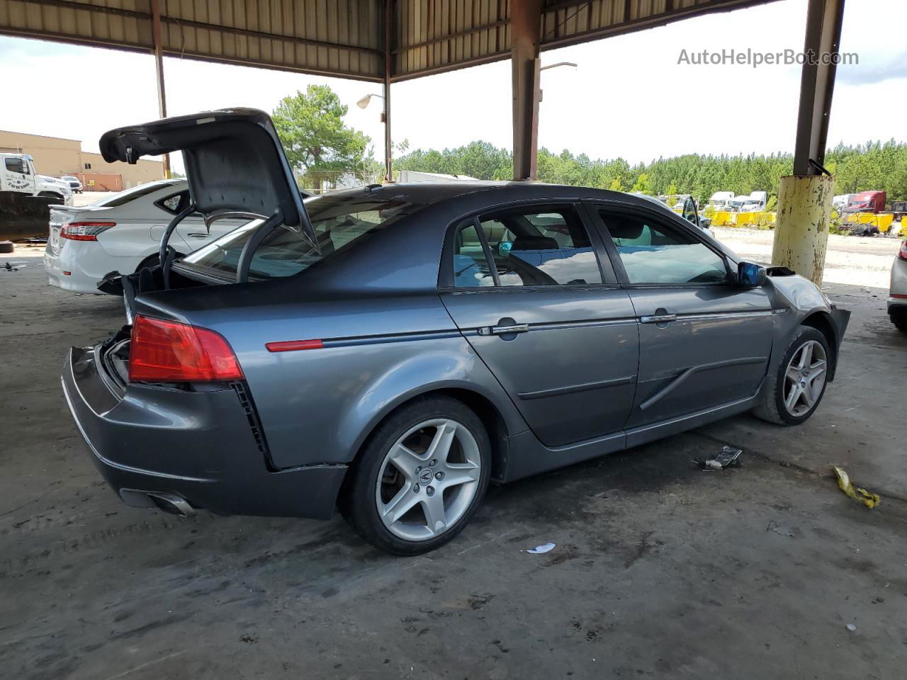 2005 Acura Tl  Gray vin: 19UUA662X5A007969