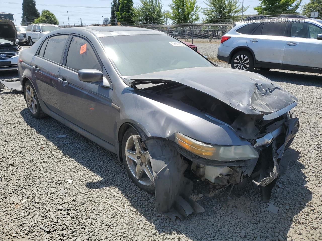 2005 Acura Tl  Gray vin: 19UUA662X5A011276