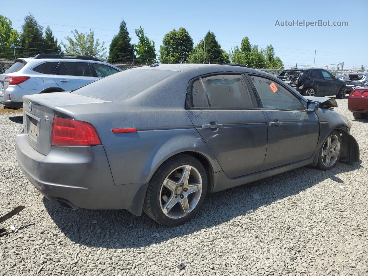 2005 Acura Tl  Gray vin: 19UUA662X5A011276