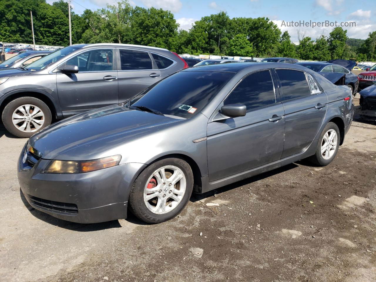 2005 Acura Tl  Gray vin: 19UUA662X5A011875