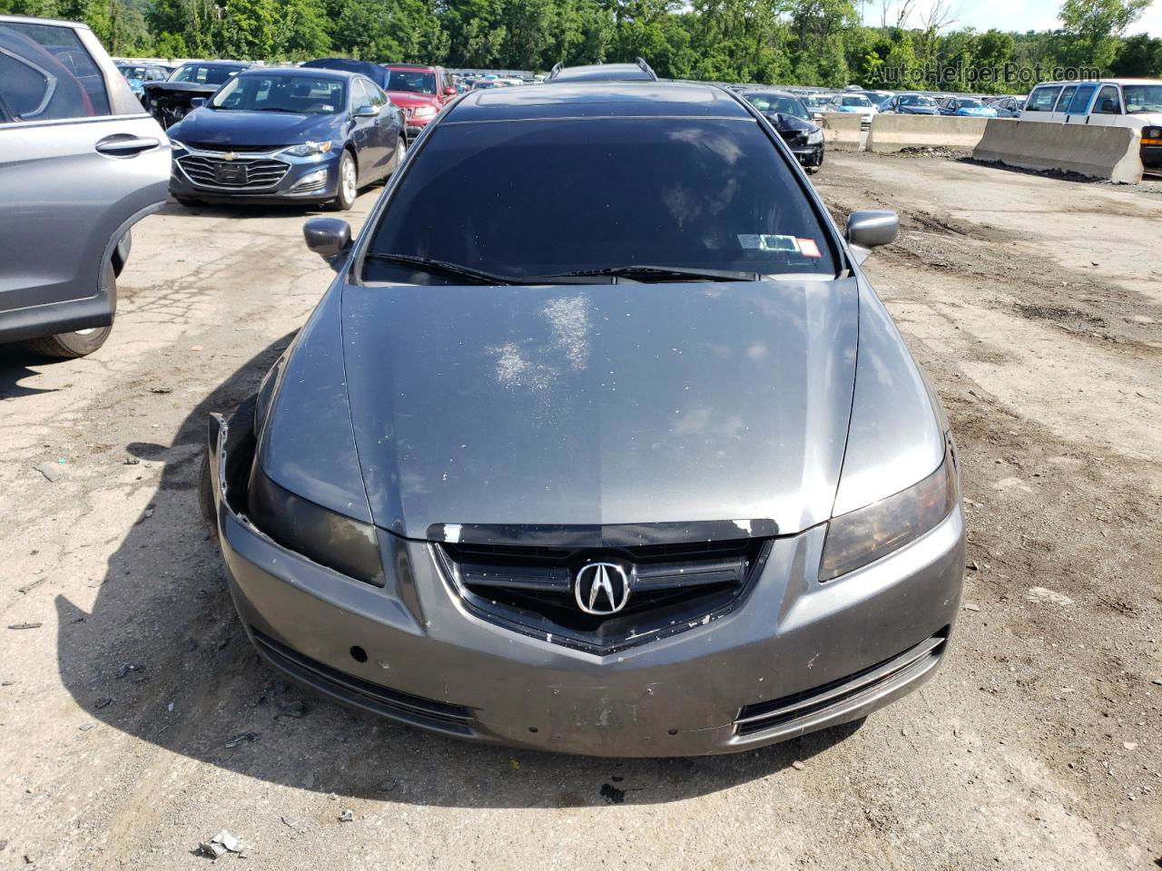 2005 Acura Tl  Gray vin: 19UUA662X5A011875