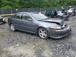 2005 Acura Tl  Gray vin: 19UUA662X5A016302