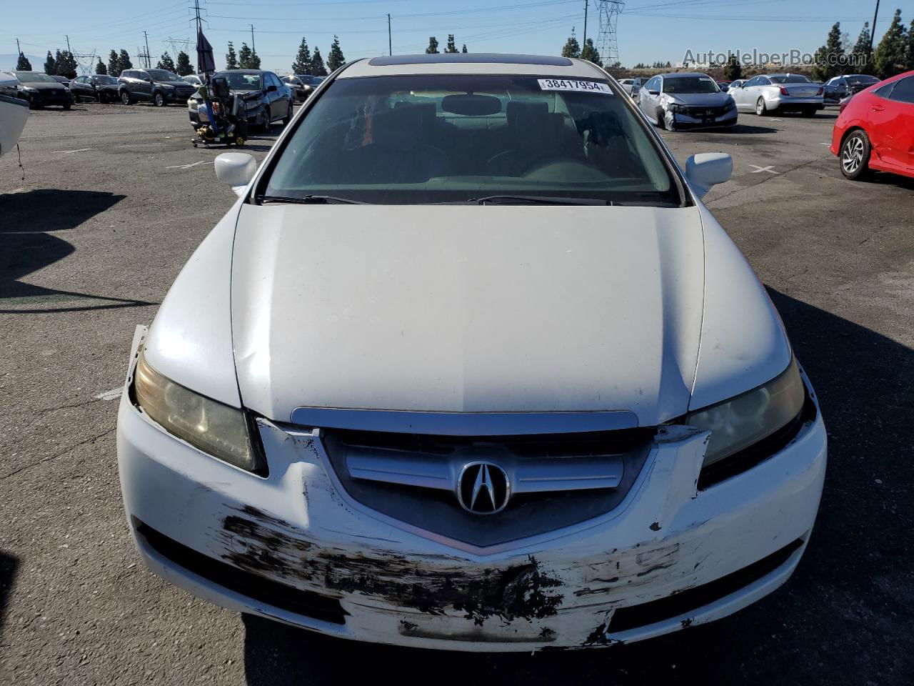 2005 Acura Tl  White vin: 19UUA662X5A024061