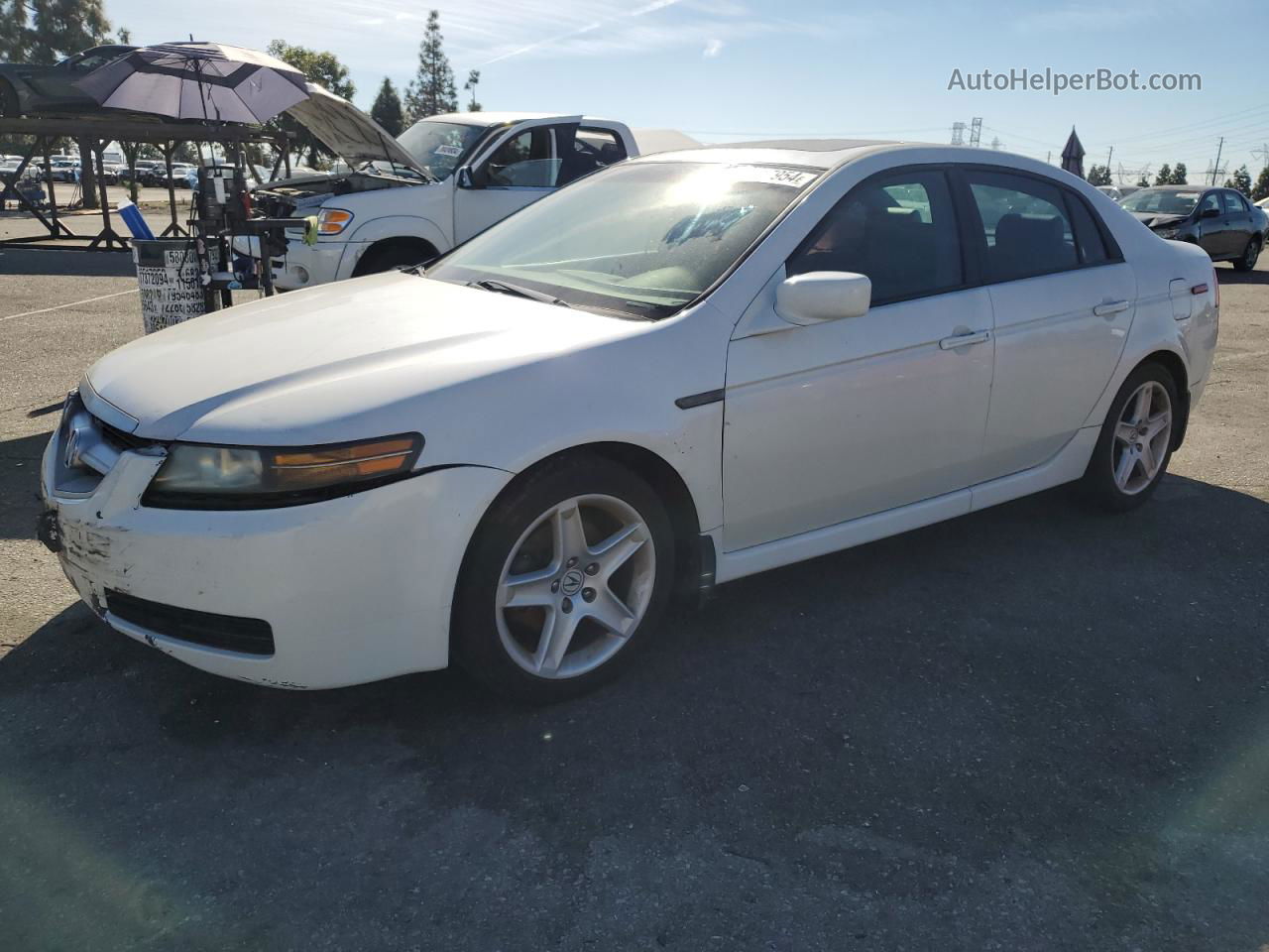 2005 Acura Tl  White vin: 19UUA662X5A024061