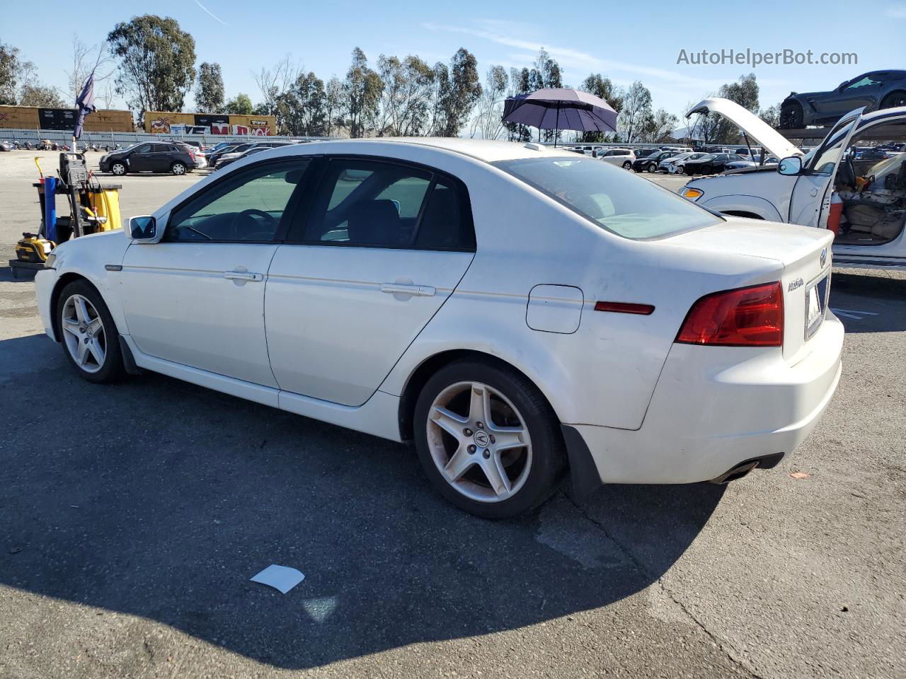 2005 Acura Tl  White vin: 19UUA662X5A024061