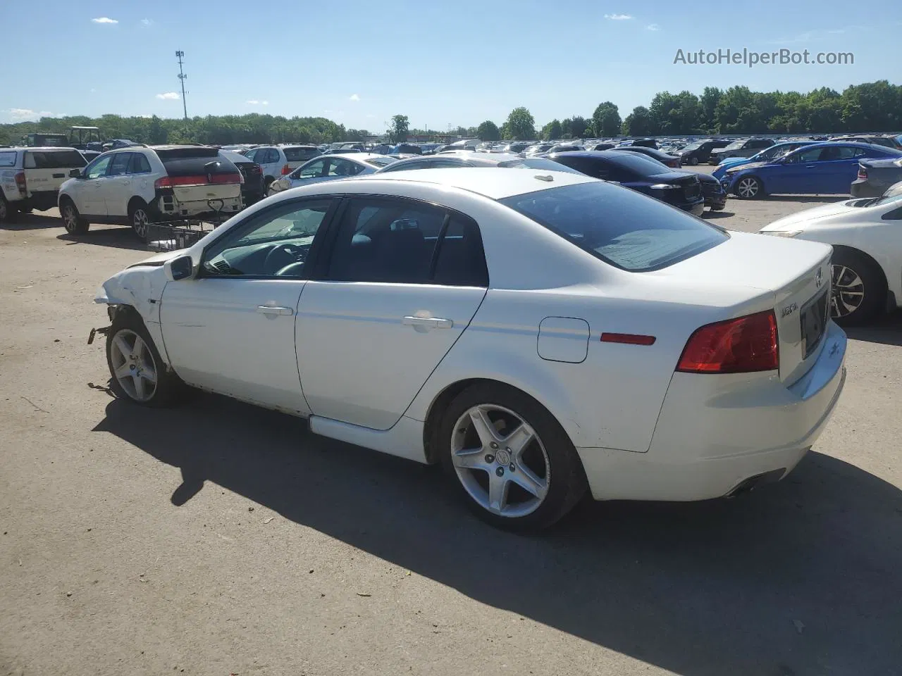 2005 Acura Tl  White vin: 19UUA662X5A026232