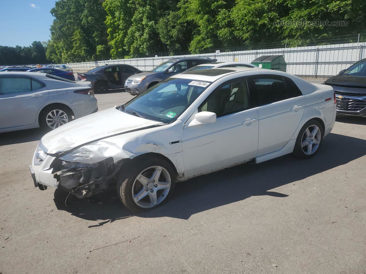 2005 Acura Tl  White vin: 19UUA662X5A026232