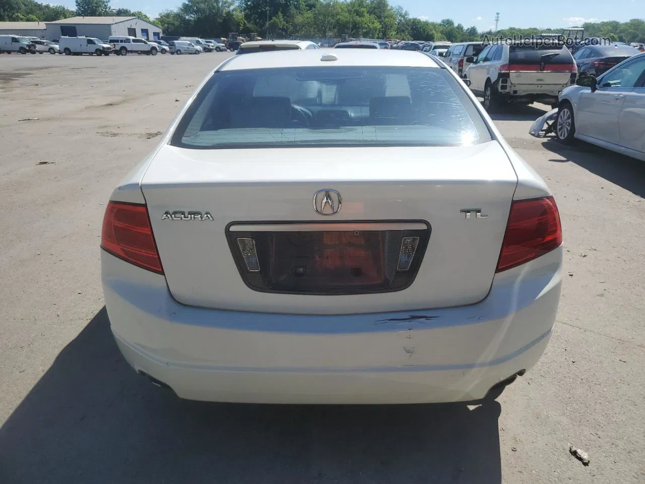 2005 Acura Tl  Белый vin: 19UUA662X5A026232