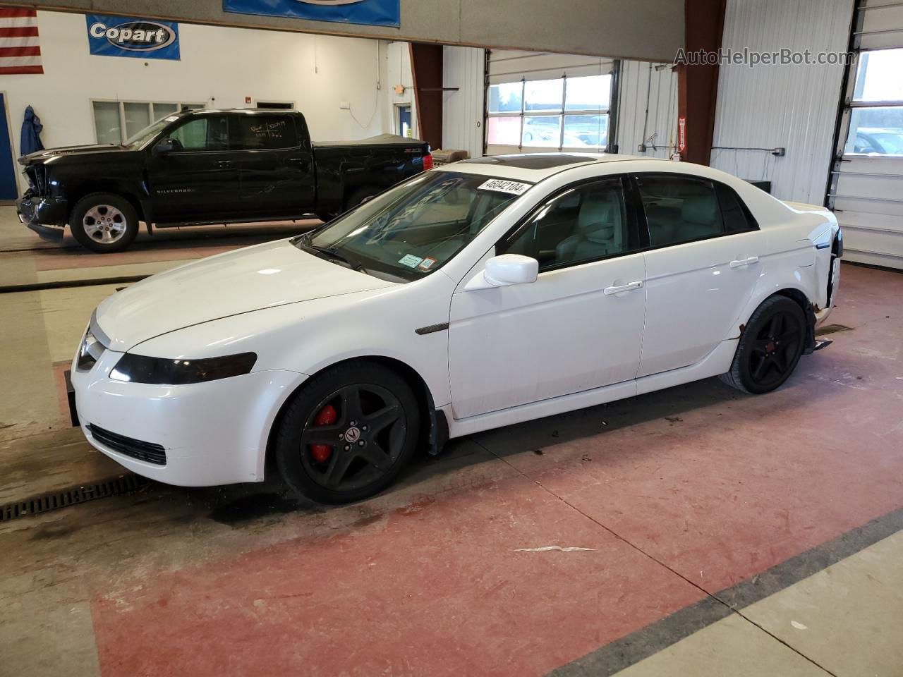 2005 Acura Tl  White vin: 19UUA662X5A029650