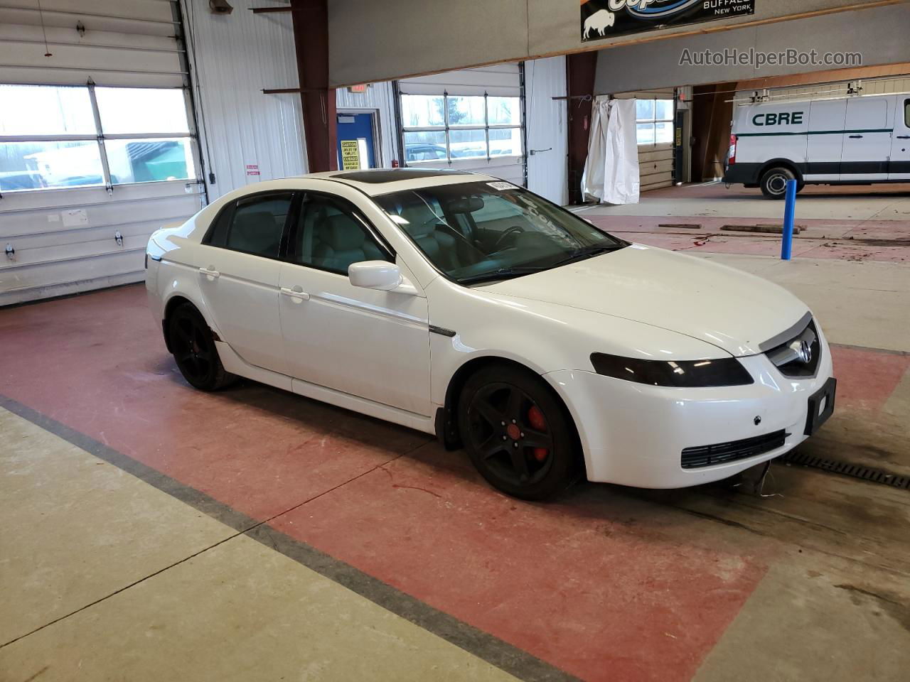 2005 Acura Tl  White vin: 19UUA662X5A029650