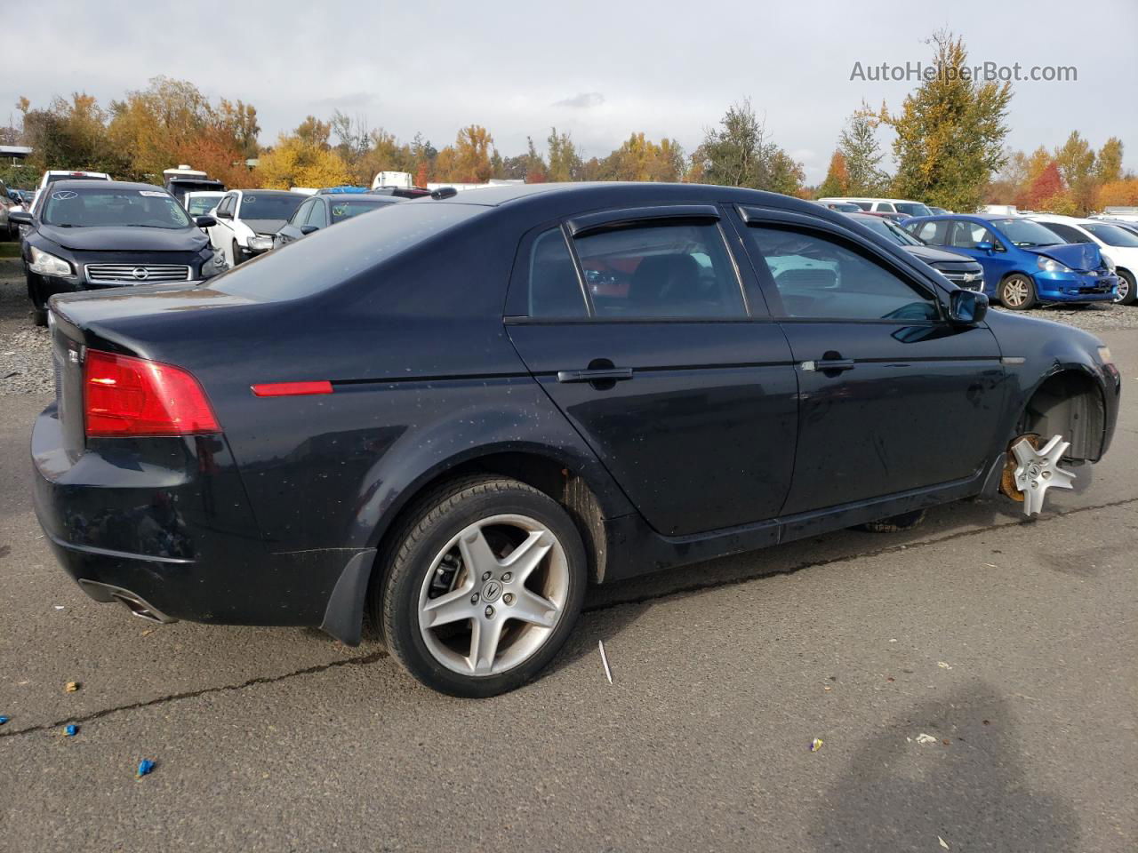 2005 Acura Tl  Black vin: 19UUA662X5A040843