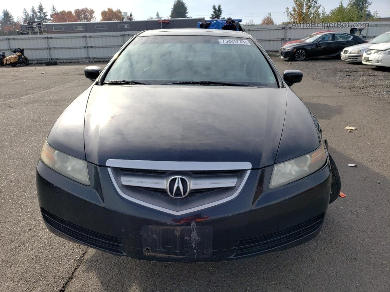 2005 Acura Tl  Черный vin: 19UUA662X5A040843