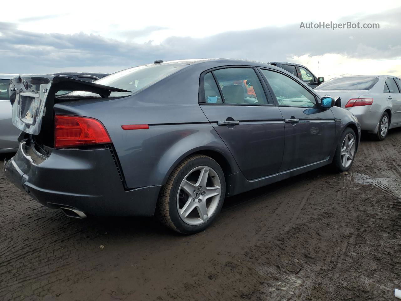 2005 Acura Tl  Silver vin: 19UUA662X5A041183