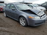 2005 Acura Tl  Silver vin: 19UUA662X5A041183