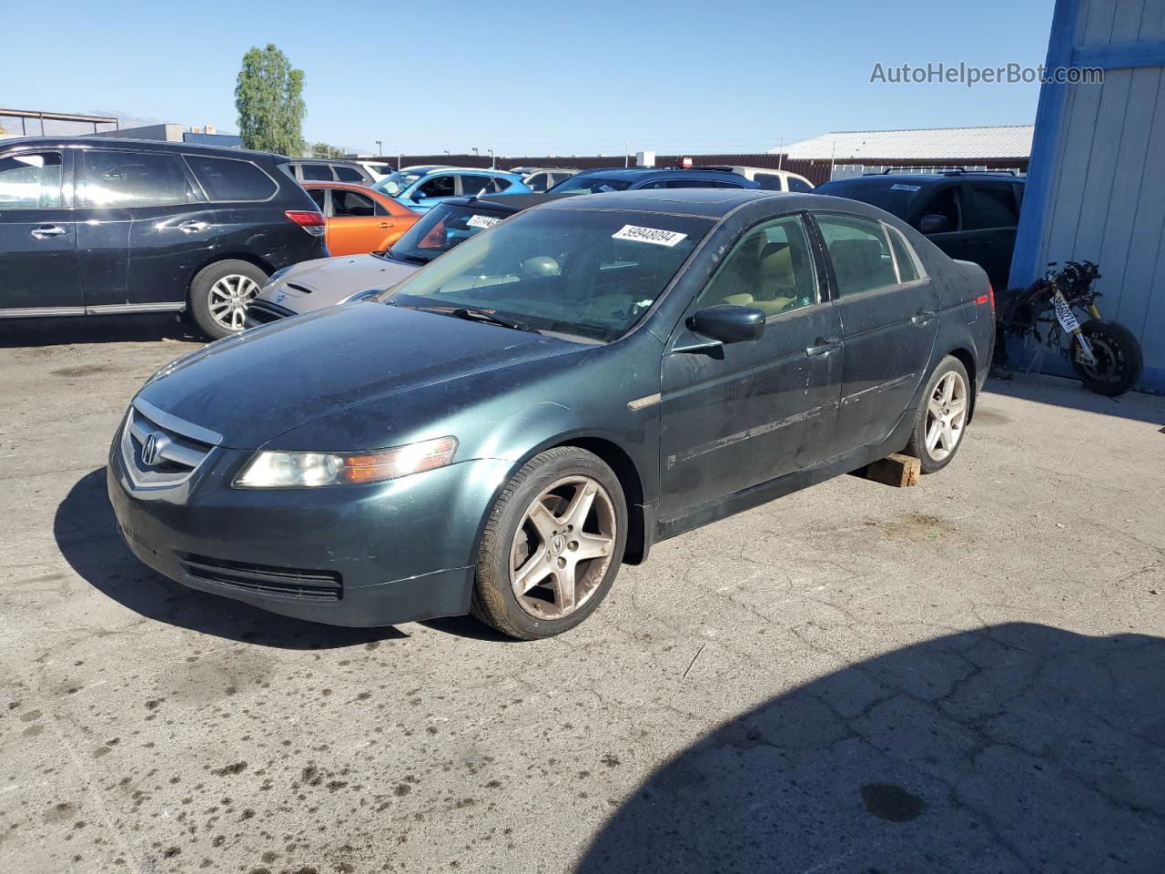 2005 Acura Tl  Зеленый vin: 19UUA662X5A055908