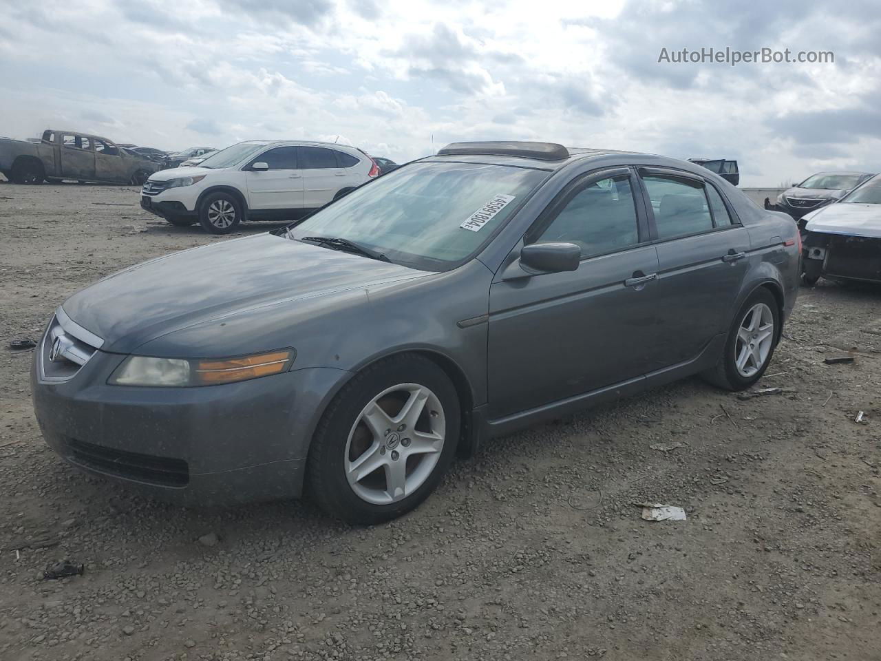 2005 Acura Tl  Gray vin: 19UUA662X5A057609