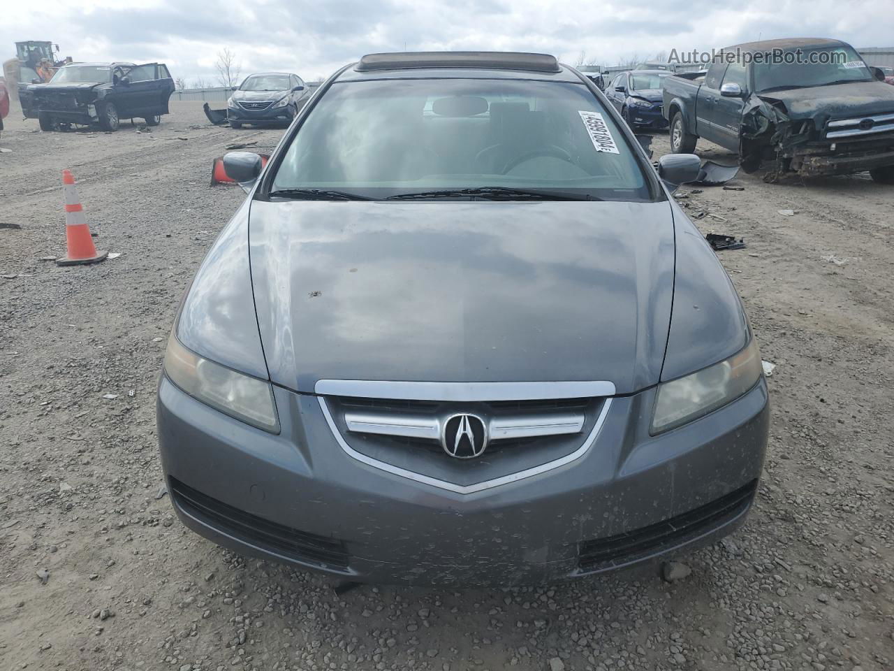 2005 Acura Tl  Gray vin: 19UUA662X5A057609