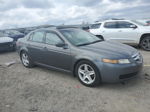 2005 Acura Tl  Серый vin: 19UUA662X5A057609