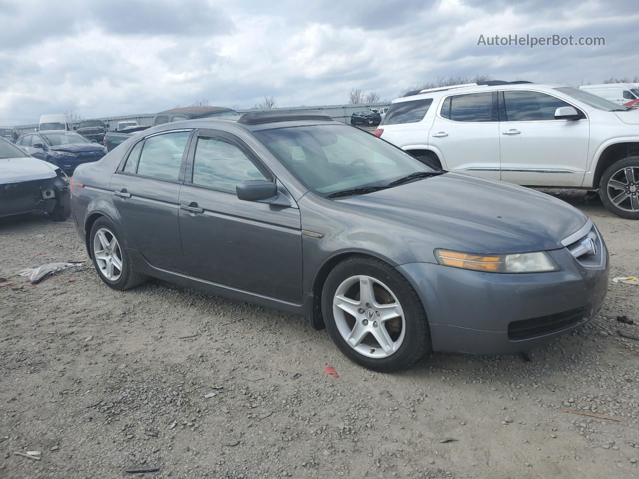 2005 Acura Tl  Gray vin: 19UUA662X5A057609