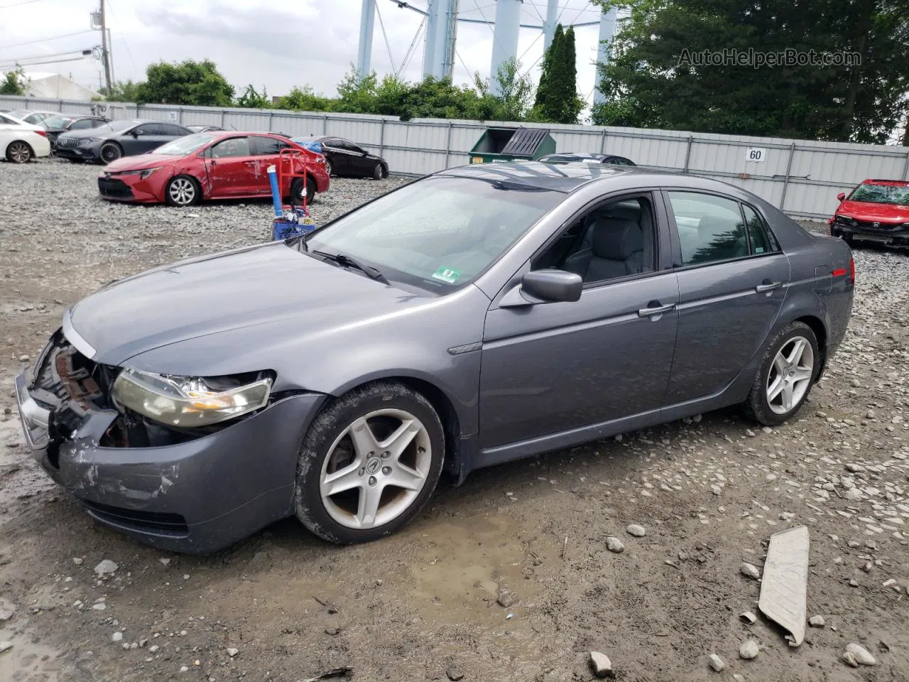 2005 Acura Tl  Серый vin: 19UUA662X5A071039