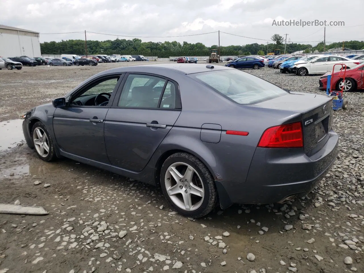 2005 Acura Tl  Серый vin: 19UUA662X5A071039