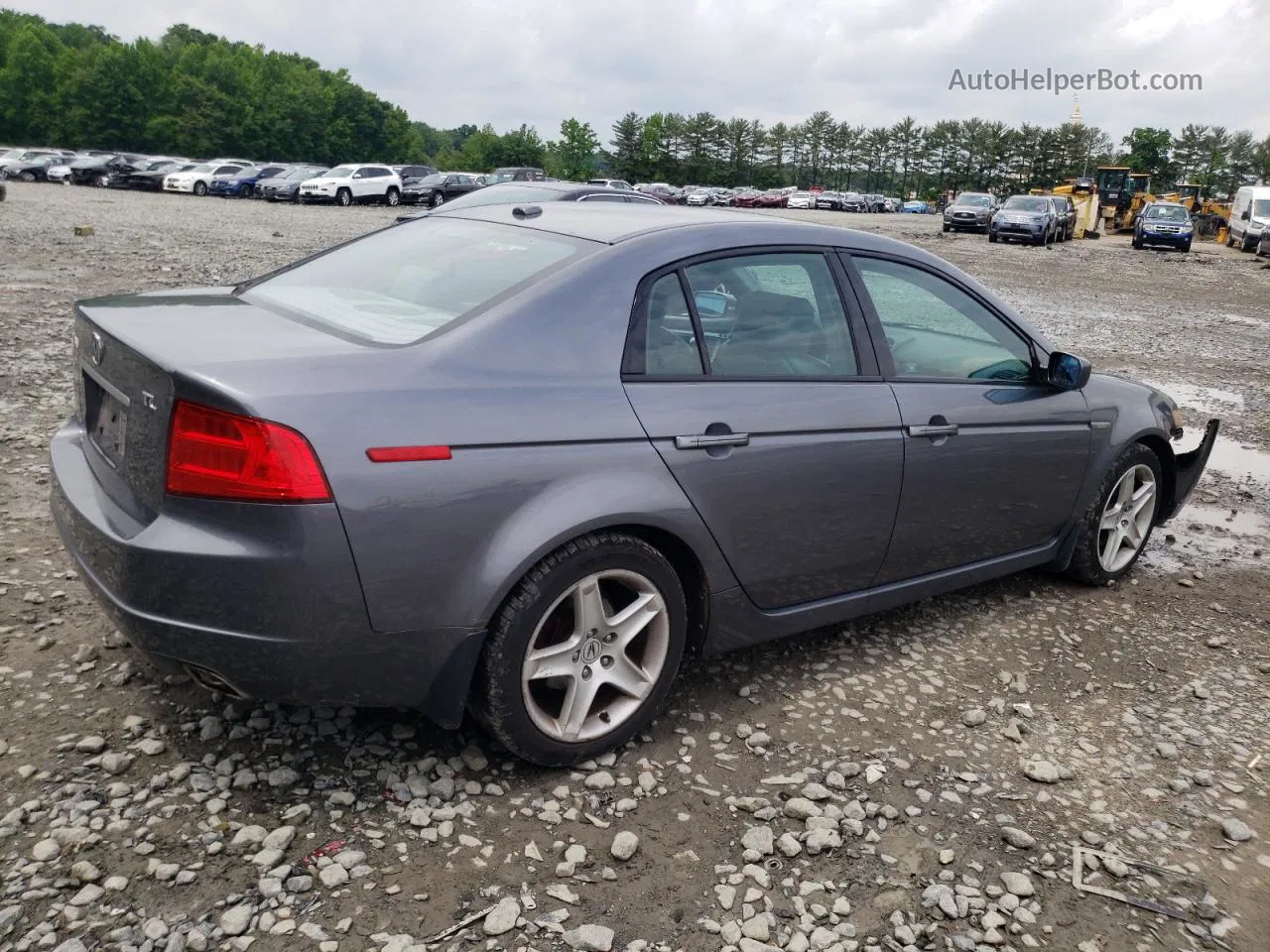 2005 Acura Tl  Gray vin: 19UUA662X5A071039