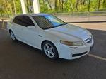 2005 Acura Tl White vin: 19UUA662X5A075818