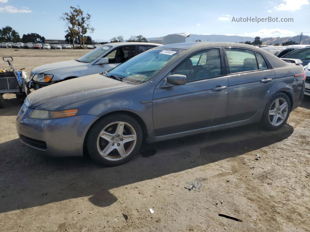 2005 Acura Tl  Gray vin: 19UUA662X5A078394