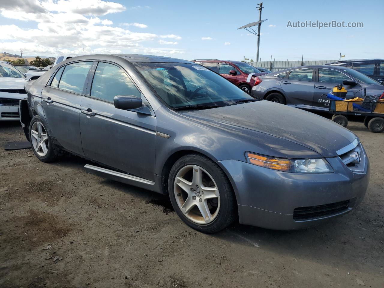 2005 Acura Tl  Gray vin: 19UUA662X5A078394