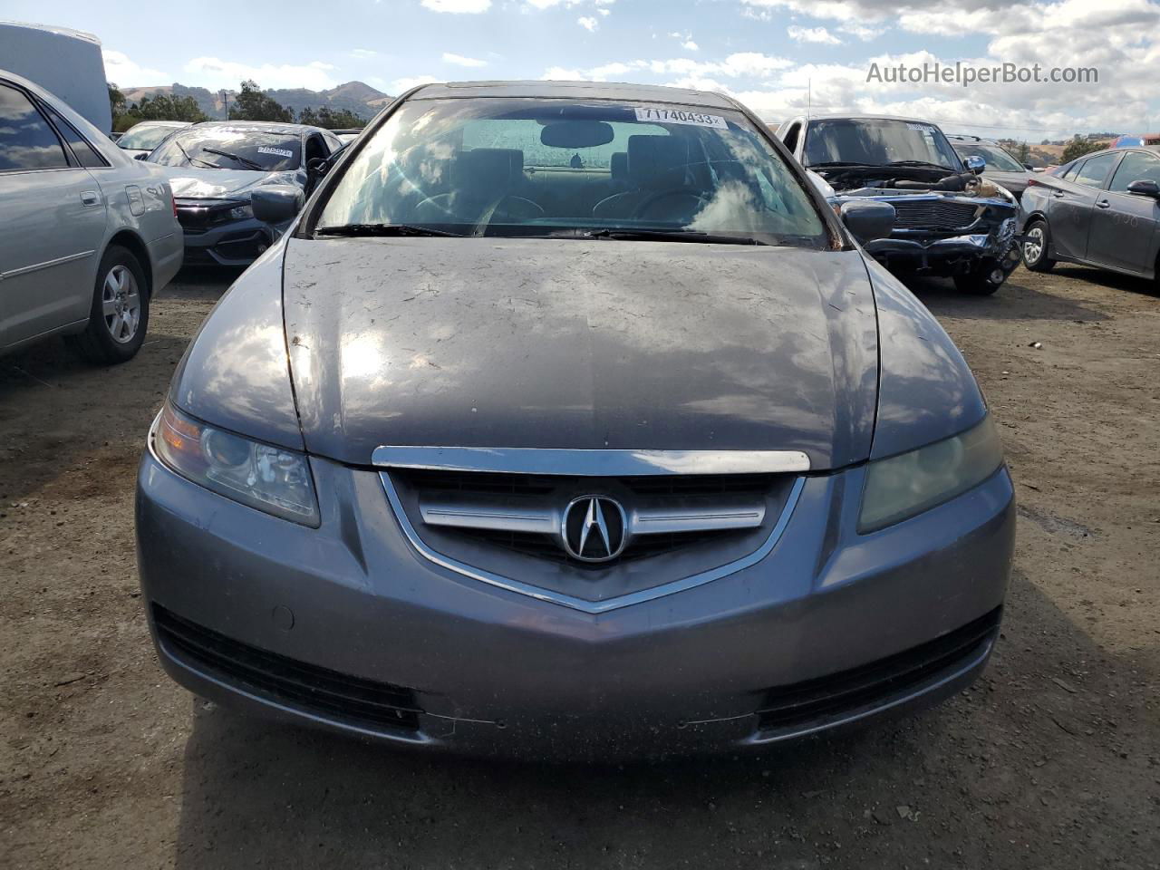 2005 Acura Tl  Gray vin: 19UUA662X5A078394