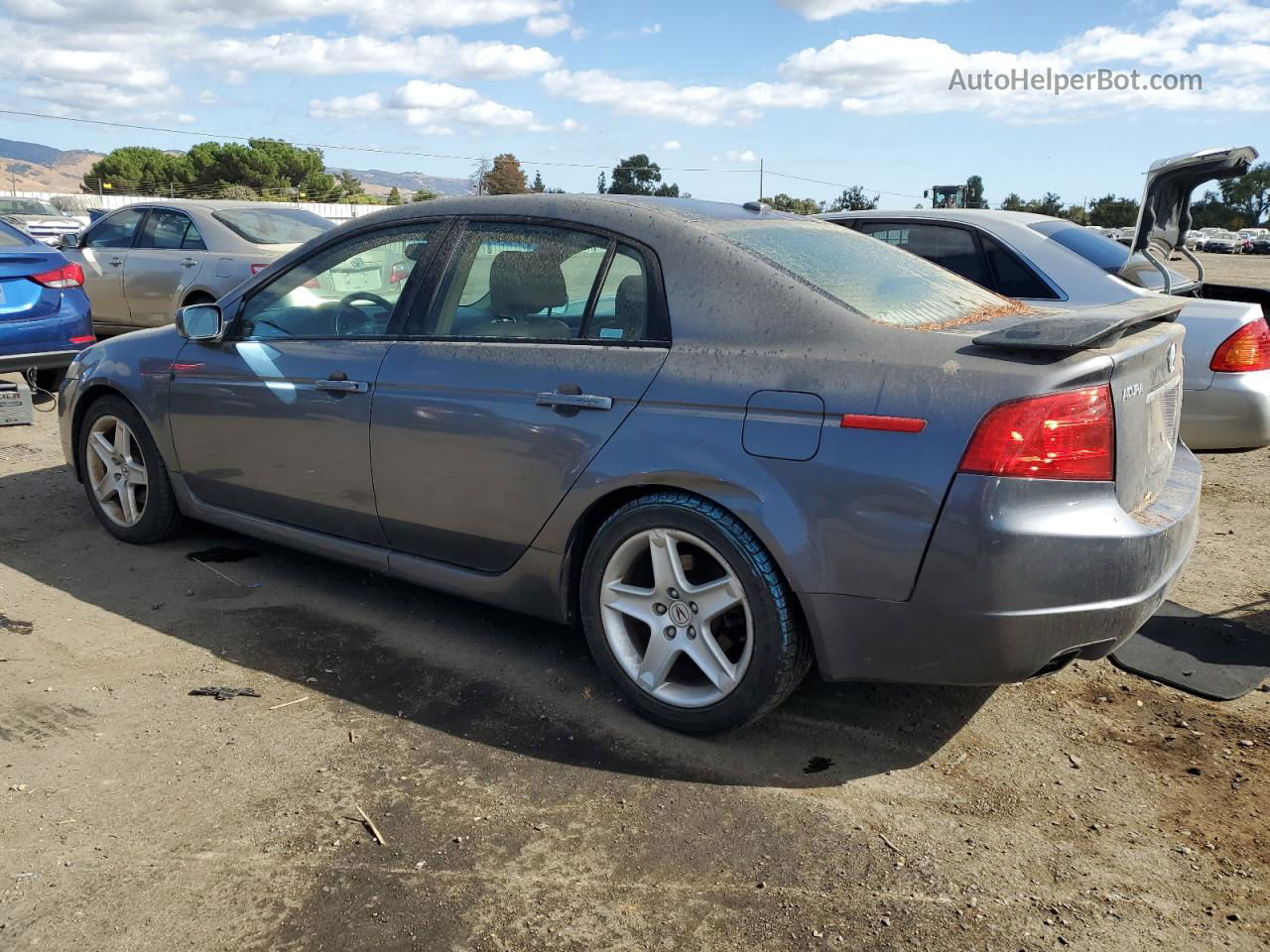 2005 Acura Tl  Gray vin: 19UUA662X5A078394