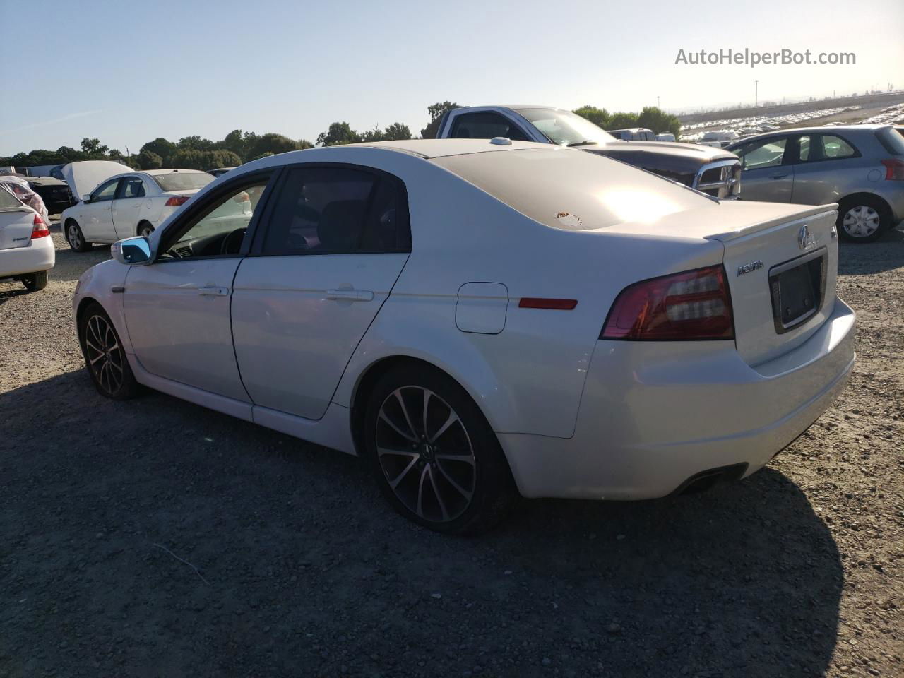 2008 Acura Tl  White vin: 19UUA662X8A002243