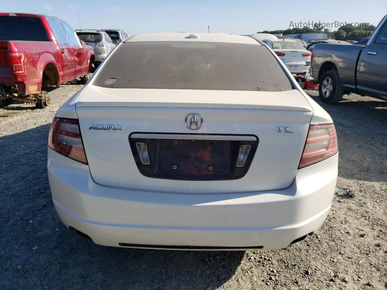 2008 Acura Tl  White vin: 19UUA662X8A002243