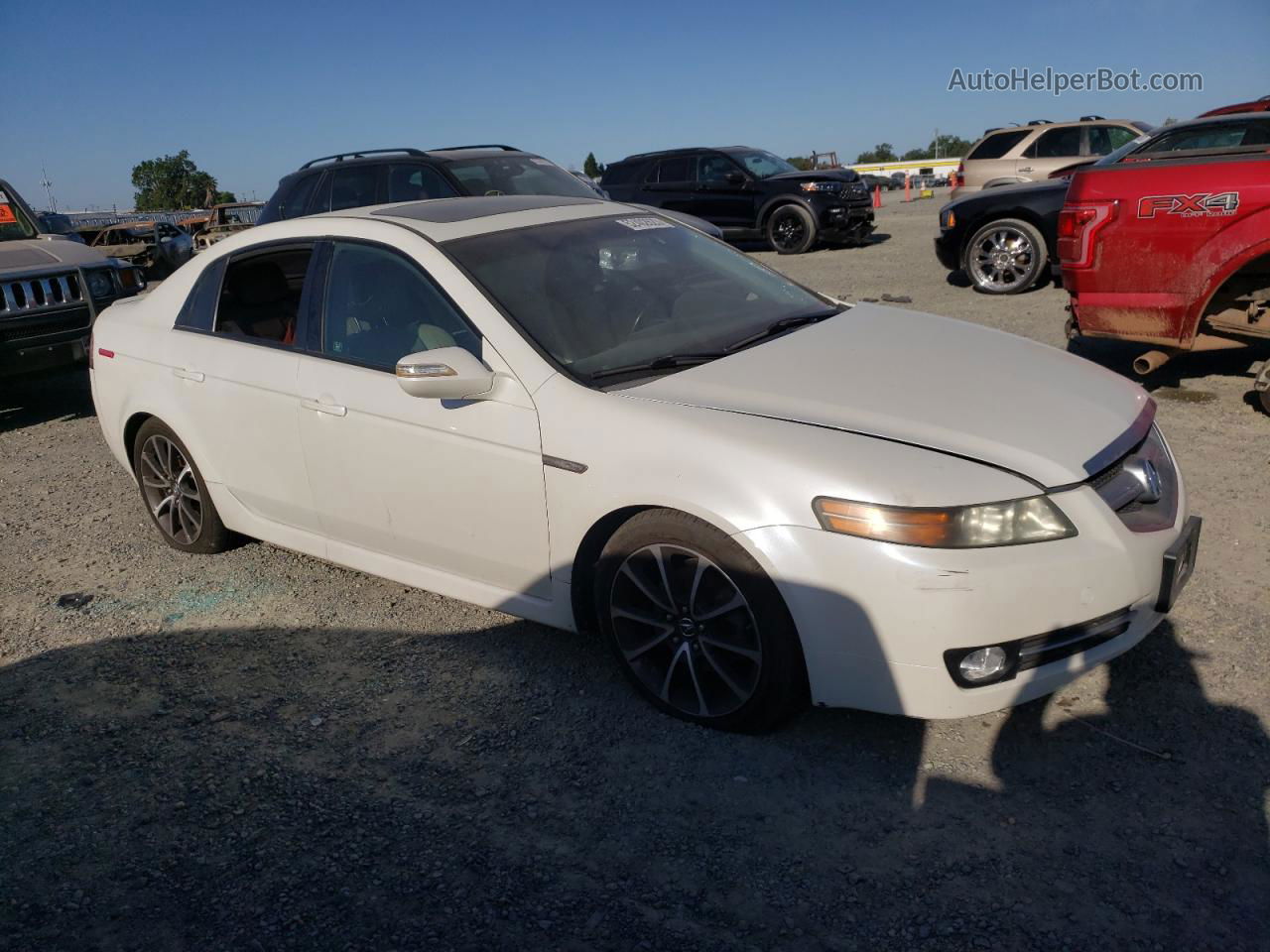 2008 Acura Tl  White vin: 19UUA662X8A002243