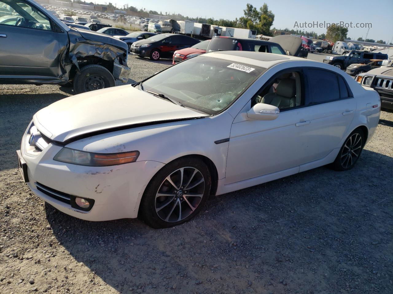 2008 Acura Tl  White vin: 19UUA662X8A002243