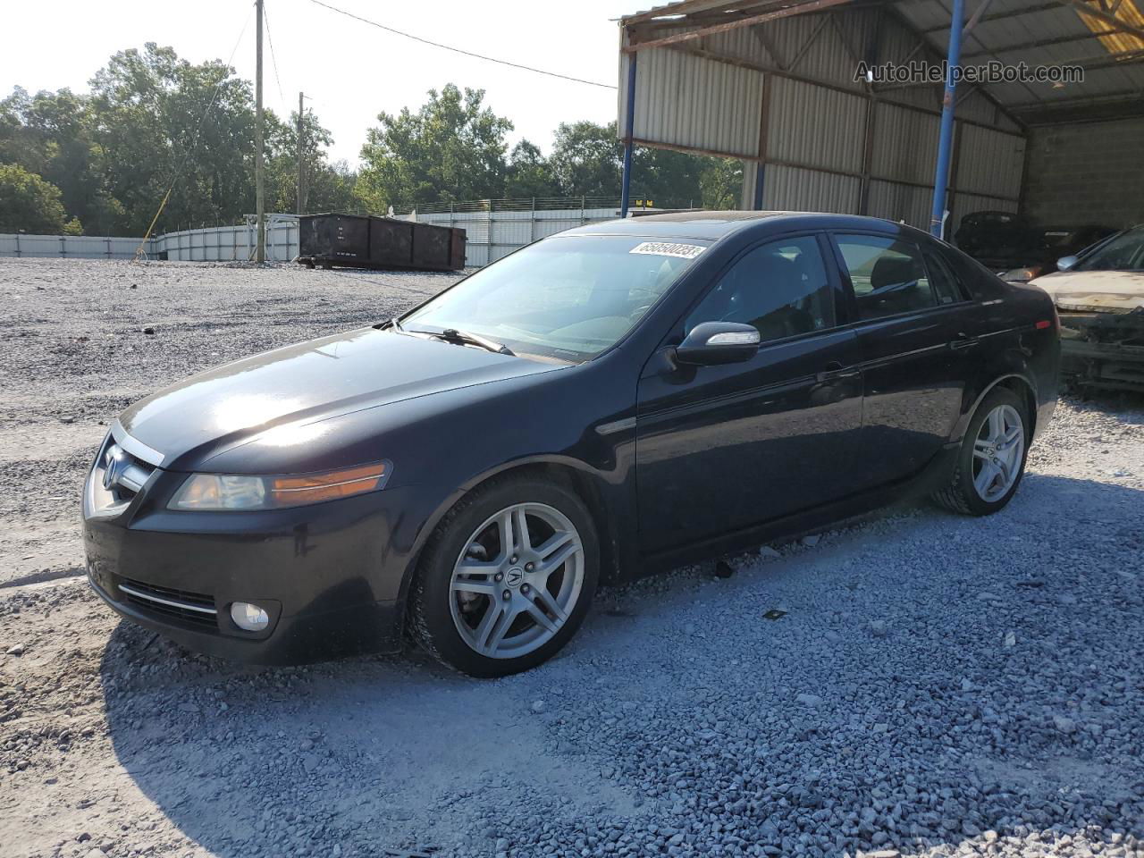 2008 Acura Tl  Black vin: 19UUA662X8A007099