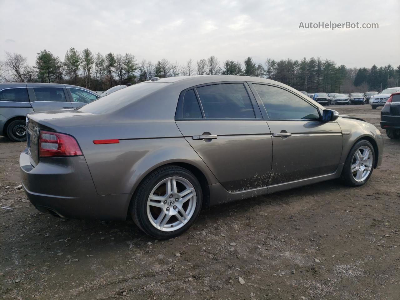 2008 Acura Tl  Tan vin: 19UUA662X8A010147