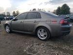 2008 Acura Tl  Tan vin: 19UUA662X8A010147